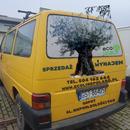 Projekt naklejki i oklejenie auta.