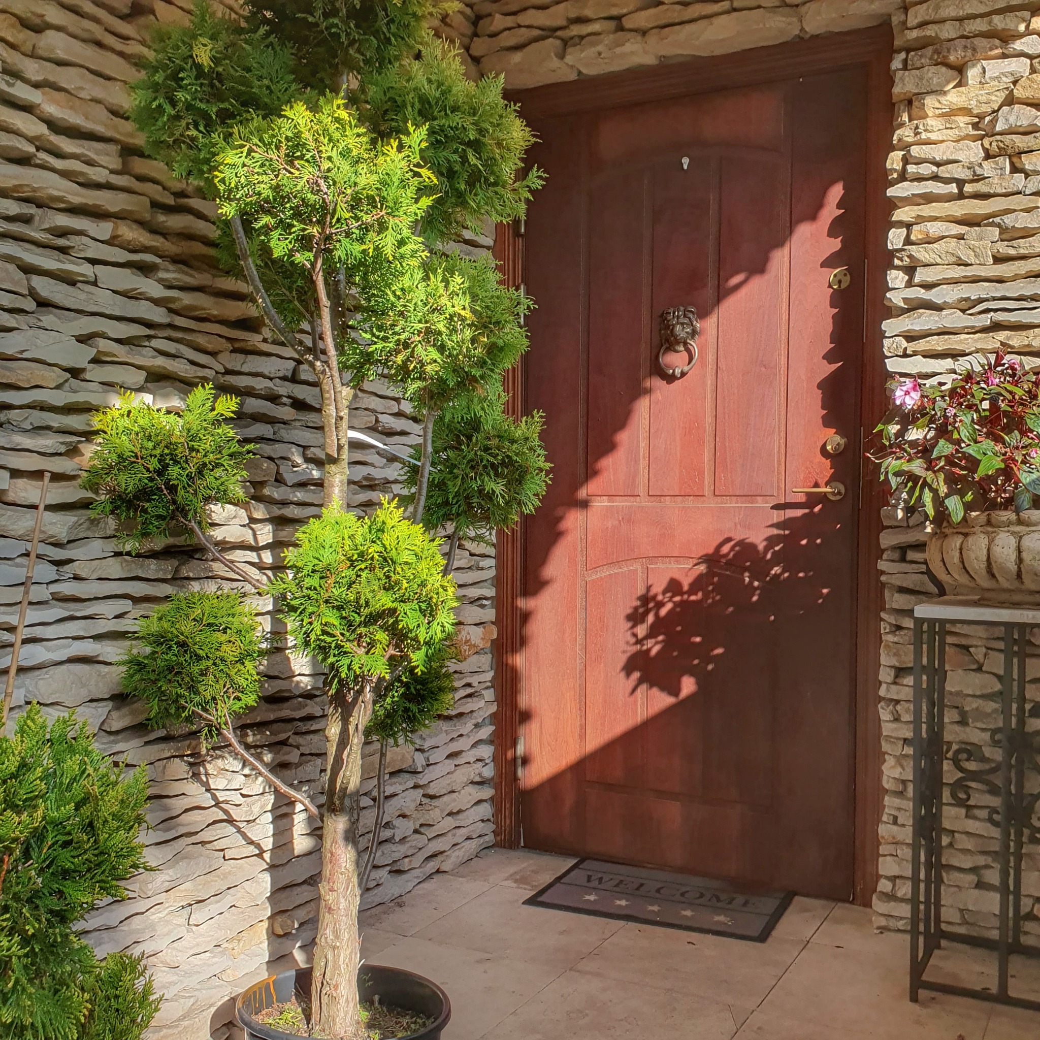 Wejście do domu z drewnianymi drzwiami, ozdobione krzewem bonsai w donicy i kwiatami w kamiennej donicy, na tle ściany z kamienia łupanego.