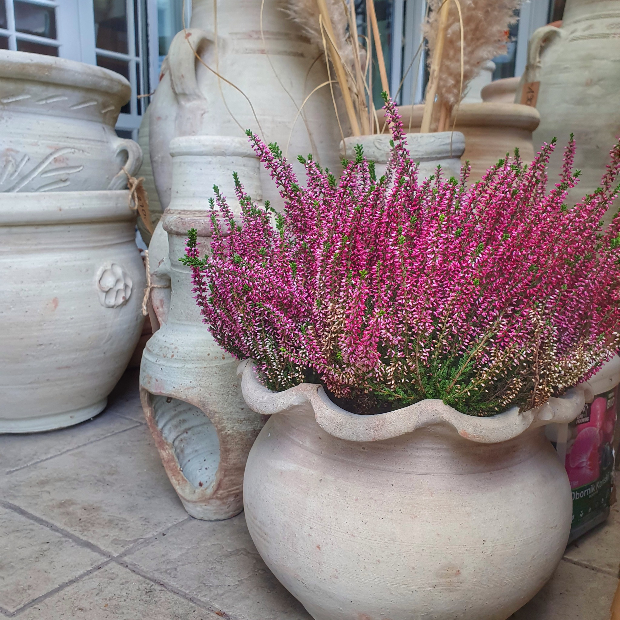 Wrzoś posadzony w dużej, ceramicznej donicy o falistym brzegu, otoczony innymi glinianymi naczyniami i dekoracjami z suszonych traw.