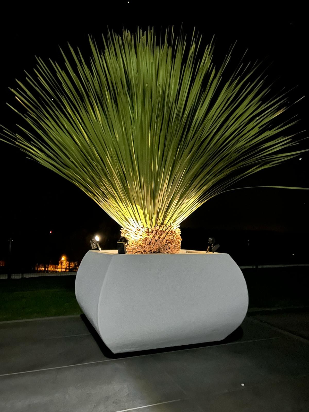 Nowoczesna, biała donica o zaokrąglonym kształcie, oświetlona od dołu, z egzotyczną rośliną o długich, zielonych liściach, na tle nocnego ogrodu.
