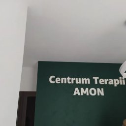 Mangraf Studio - Zielona ściana z napisem 'Centrum Terapii AMON' wykonanym z białych liter 3D, nowoczesna lampa wisząca w tle.