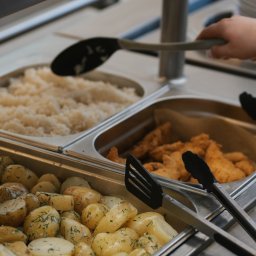 Bistro DoWoli - Bufet z potrawami: ziemniaki z koperkiem, ryż i kawałki smażonego kurczaka, obsługiwany przez osobę z zegarkiem na ręce za pomocą czarnej łyżki do nakładania.