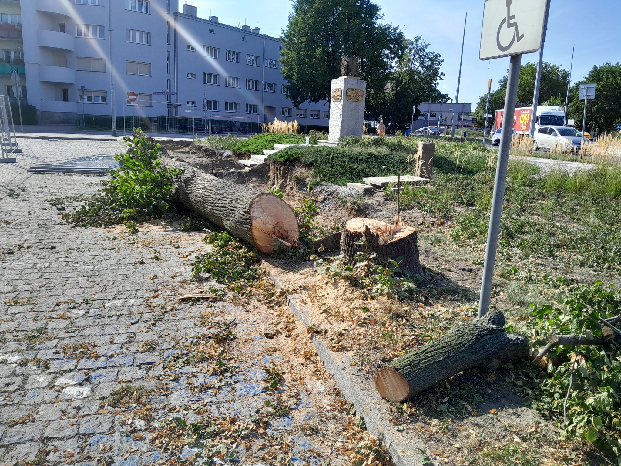 Ścięte drzewo leżące na chodniku z kostki brukowej, obok pień i porozrzucane gałęzie, w tle budynek mieszkalny i pomnik, widoczny znak dla niepełnosprawnych.