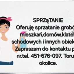 Sprzątanie mieszkań Toruń 3