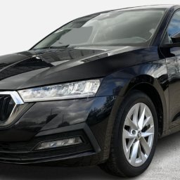 Royal Fleet sp zoo - Czarna Skoda Octavia, widok z przodu, na tabliczce napis 'Samochód używany'.