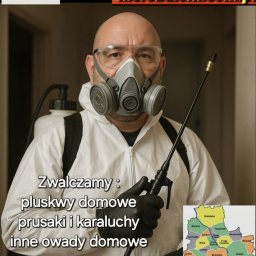 Dezynsekcja i deratyzacja Warszawa 1
