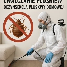 Dezynsekcja i deratyzacja Warszawa 2