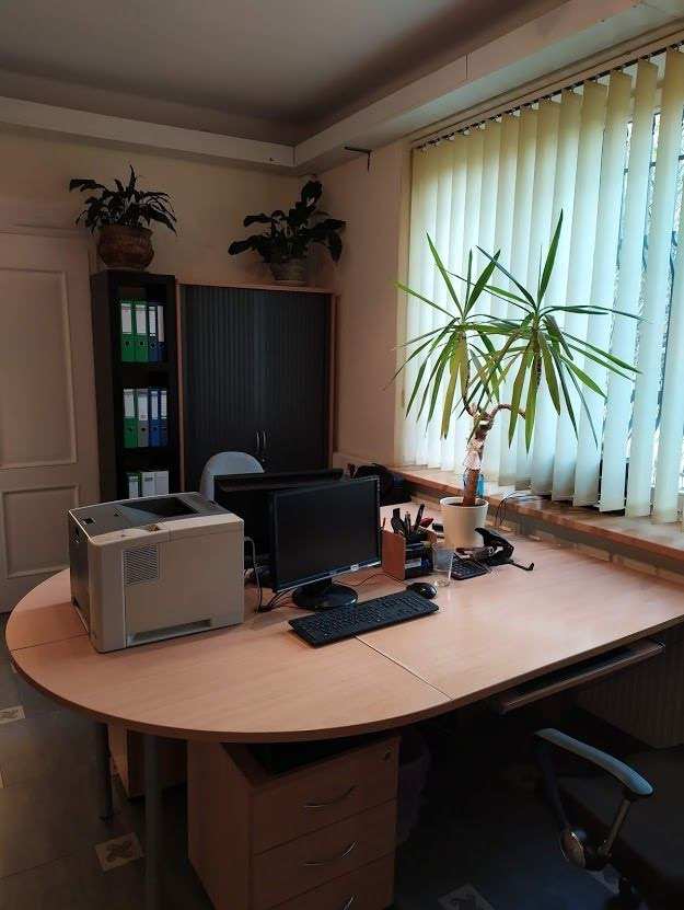 Biuro z biurkiem, komputerem, drukarką i roślinami doniczkowymi, widok z przodu.