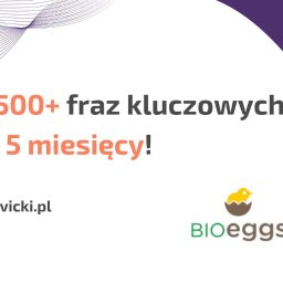 Studio Projektowe Praca u Podstaw Bartłomiej Lewicki - Infografika: 1500+ fraz kluczowych w 5 miesięcy, adres strony levicki.pl oraz logo BIOeggs z kurczakiem w skorupce.