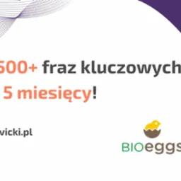 Infografika: 1500+ fraz kluczowych w 5 miesięcy, adres strony levicki.pl oraz logo BIOeggs z kurczakiem w skorupce.