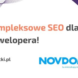 Pozycjonowanie stron Robakowo 4