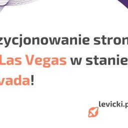 Pozycjonowanie stron Robakowo 2