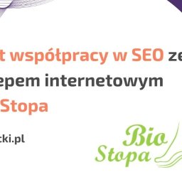 Pozycjonowanie stron Robakowo 1