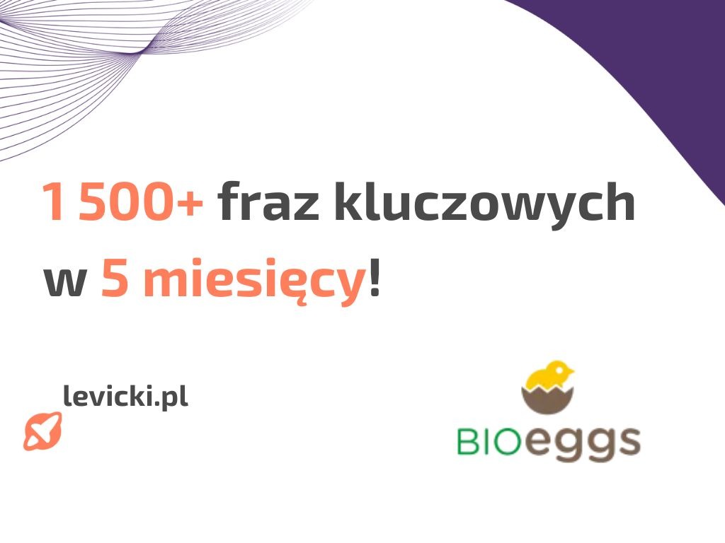 Infografika: 1500+ fraz kluczowych w 5 miesięcy, adres strony levicki.pl oraz logo BIOeggs z kurczakiem w skorupce.