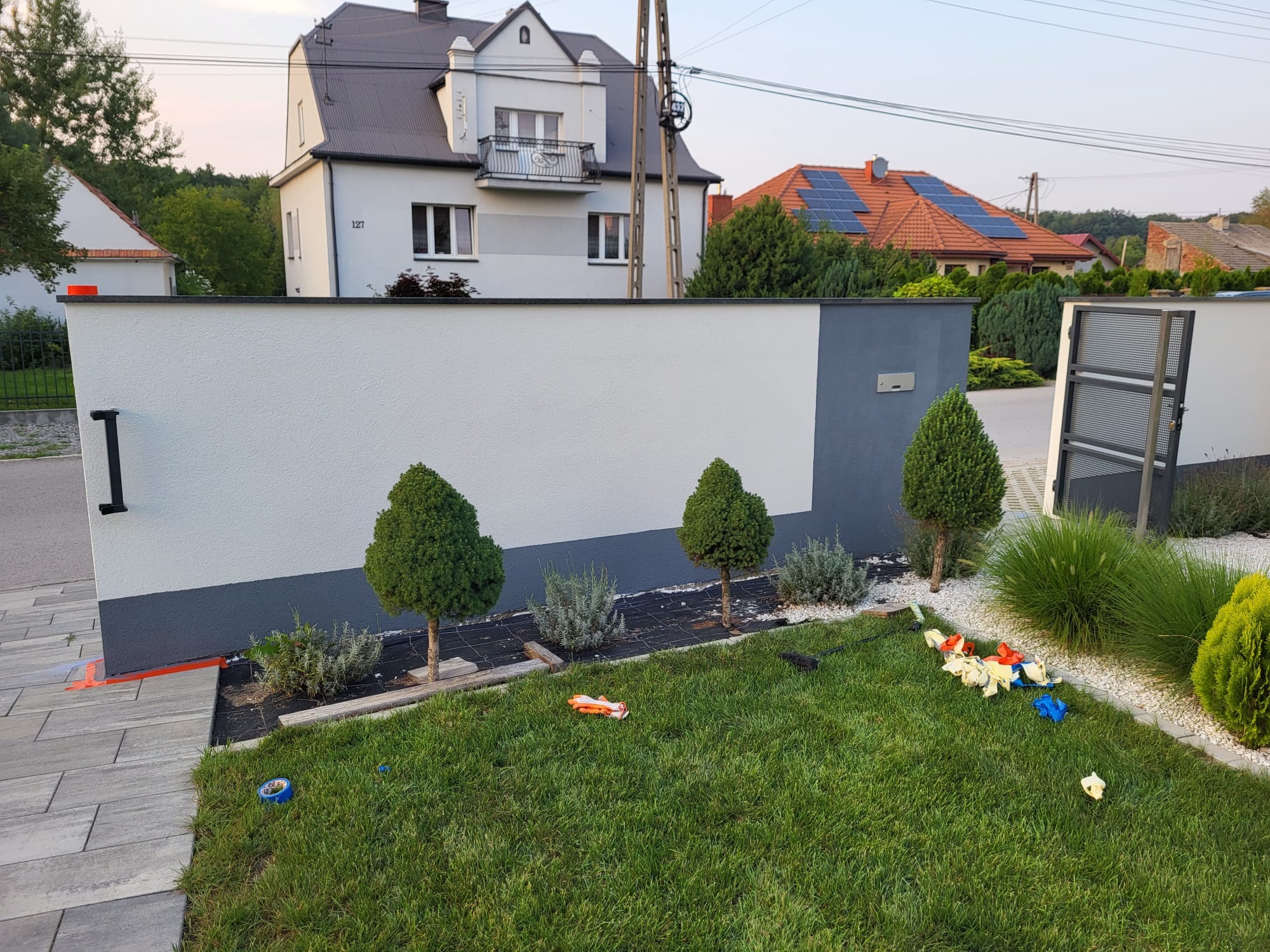Świeżo pomalowany, dwukolorowy mur ogrodzeniowy z nasadzeniami: kuliste drzewka, lawenda, trawy ozdobne; na trawniku leżą resztki po zabezpieczaniu folią malarską.