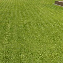 Systemy nawadniania Cybinka 4