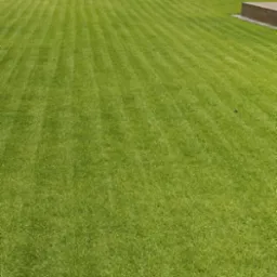 Perfekcyjnie przystrzyżony trawnik z wyraźnymi pasami, na tle nowoczesnego domu z szarą dachówką i ogrodzeniem z kamiennymi elementami.