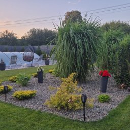 M-Garden Usługi Ogrodnicze Marcin Łacny - Układanie kostki granitowej Słubice