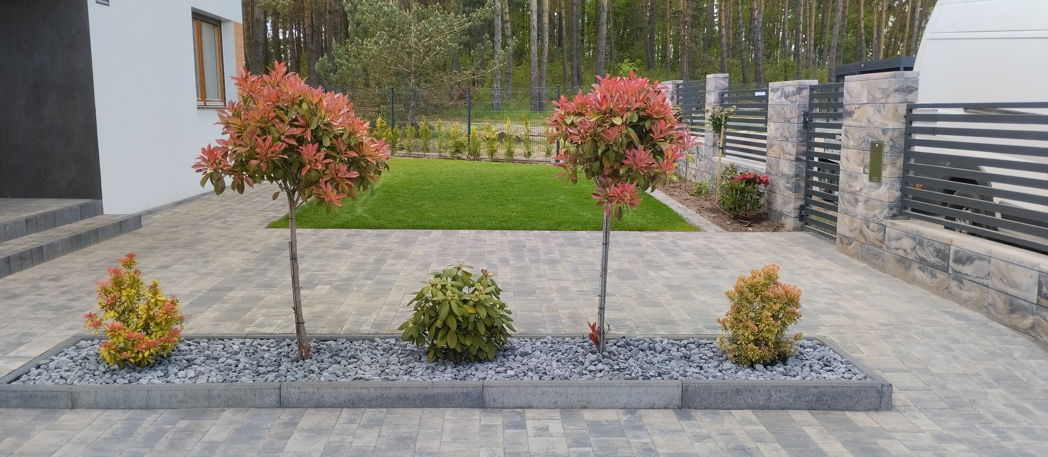 Ogród z trawnikiem, drzewkami szczepionymi i ozdobnymi krzewami wzdłuż ścieżki z kostki. Szara kostka, kamień i nowoczesne ogrodzenie.