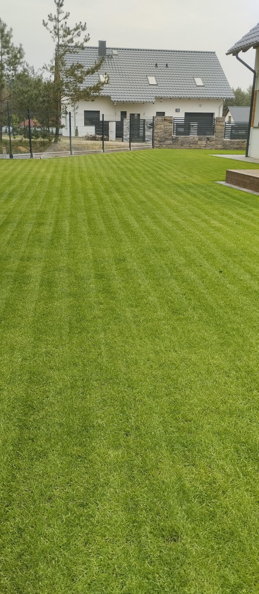 Perfekcyjnie przystrzyżony trawnik z wyraźnymi pasami, na tle nowoczesnego domu z szarą dachówką i ogrodzeniem z kamiennymi elementami.