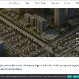 Tworzenie stron internetowych Kutno 2