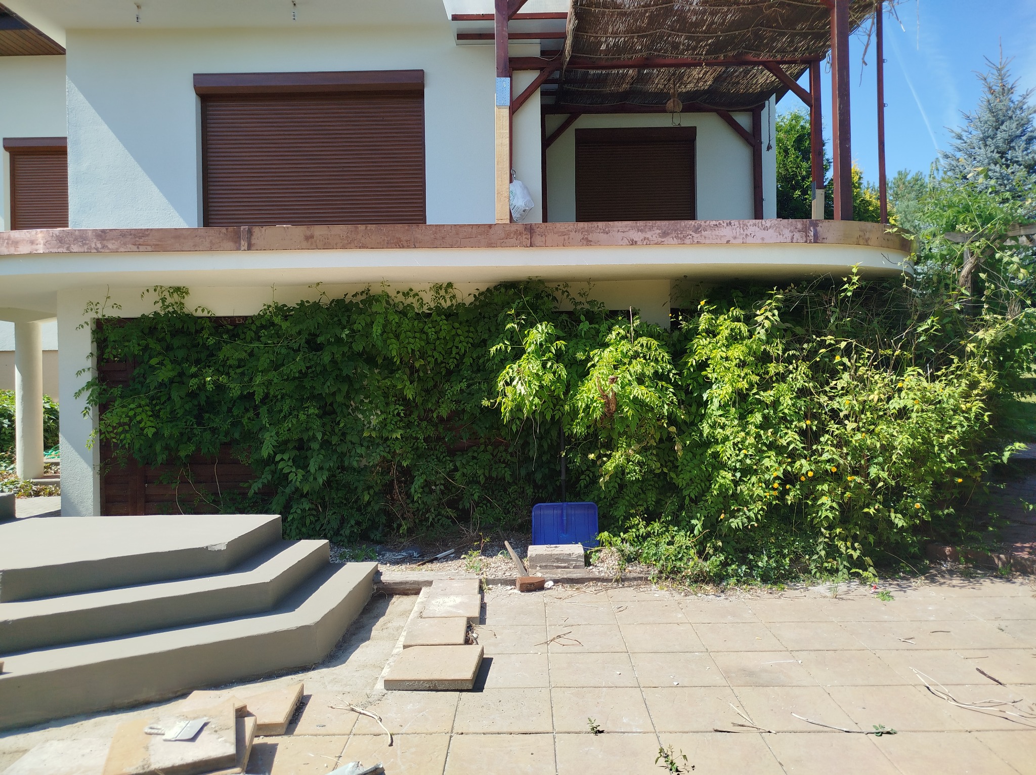 Betonowe schody wejściowe do domu, częściowo wykończone, z widocznymi narzędziami i niebieskim pojemnikiem, porośnięte roślinnością.