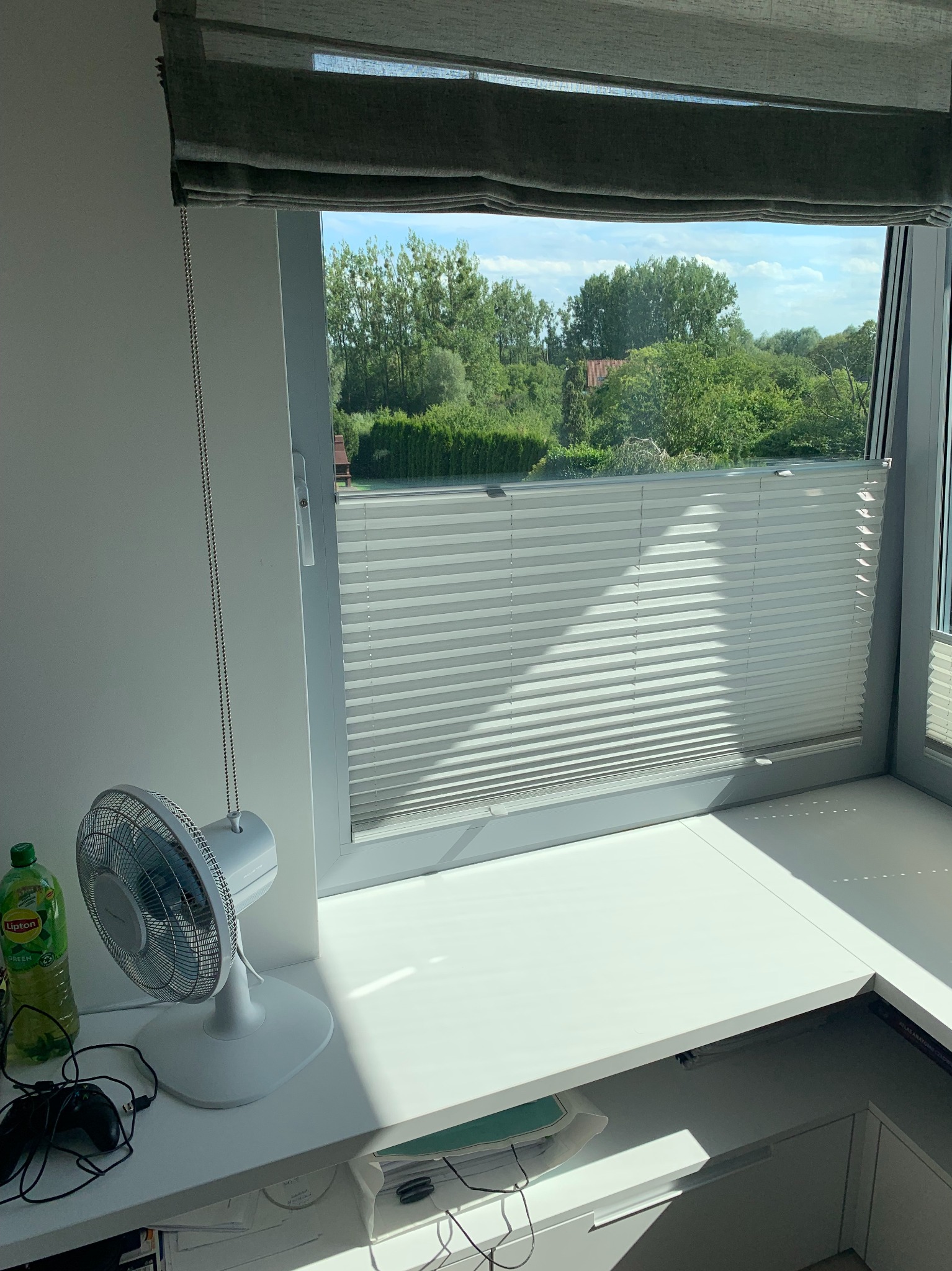 Plisy z roletami rzymskimi