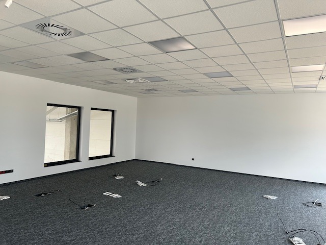 Wnętrze pustego, jasnego biura z szarą wykładziną i podwieszanym sufitem. Widoczne dwa okna z widokiem na konstrukcję budynku.