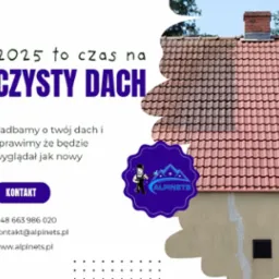 Reklama firmy prezentująca dach z wyraźną różnicą między czystą a zabrudzoną powierzchnią dachówki ceramicznej, pokazująca efekt przed i po.