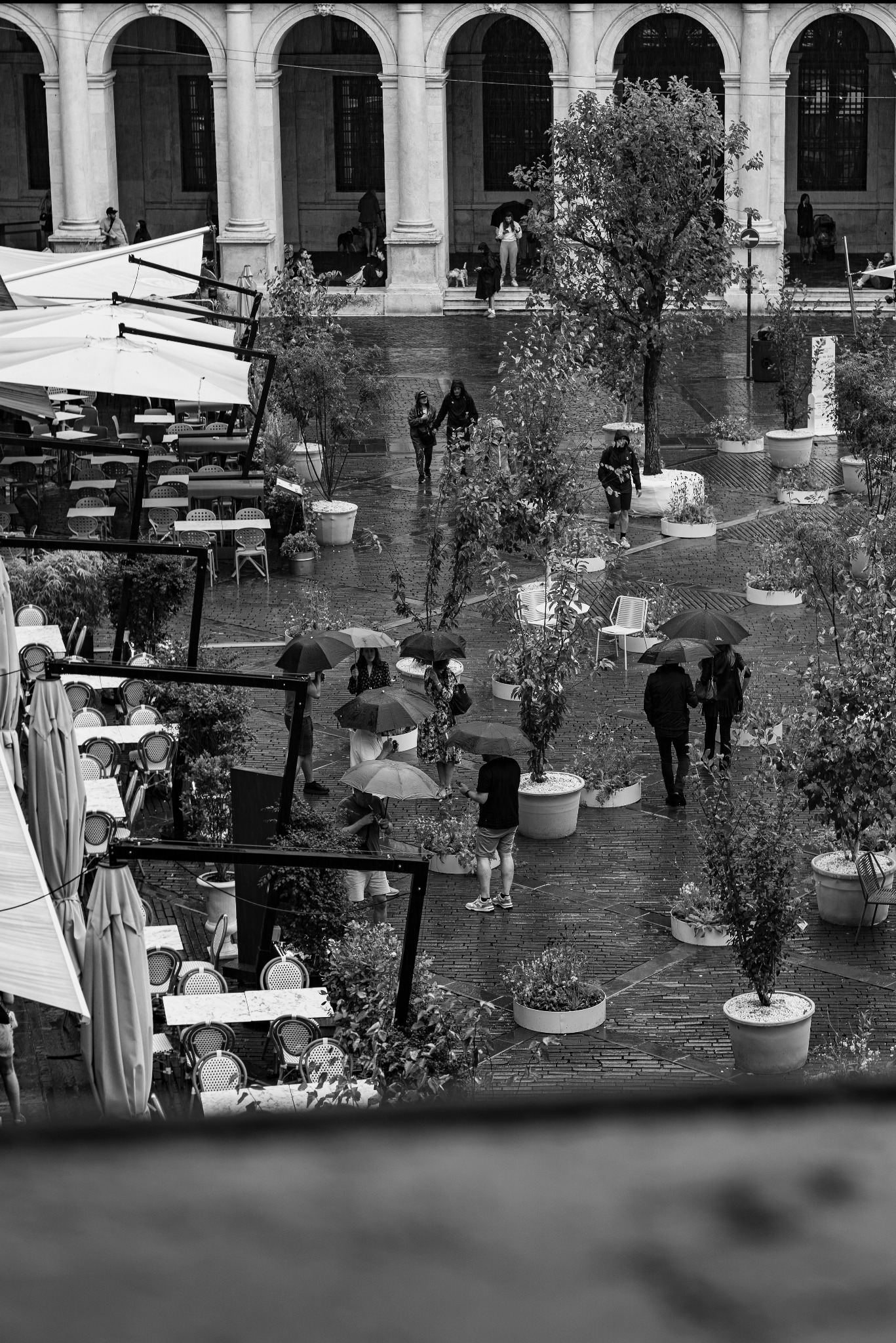 Czarno-białe zdjęcie z góry przedstawia plac miejski podczas deszczu; ludzie z parasolami przechodzą obok donic z roślinami, widoczne są również stoliki kawiarniane z krzesłami.