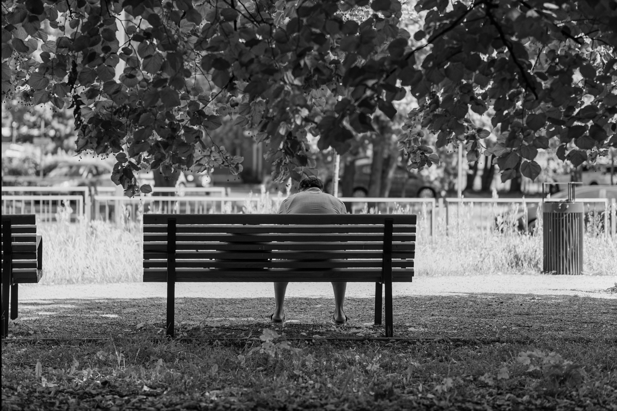 Mężczyzna siedzący tyłem na ławce w parku, w cieniu drzew, czarno-biała fotografia.