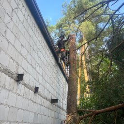 Odśnieżanie dachów Warszawa 3