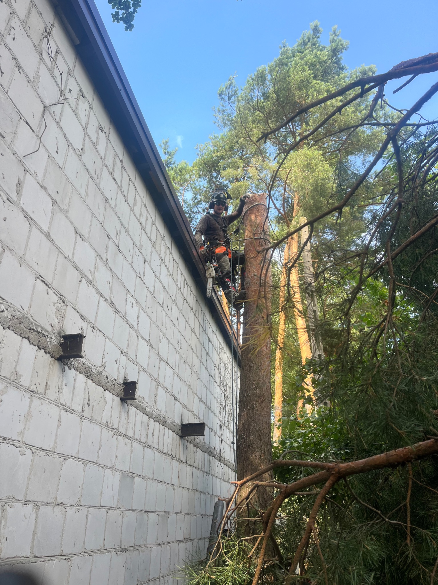 Pracownik w uprzęży, z piłą, przy pniu ściętego drzewa obok budynku z białej cegły. Widok z dołu, błękitne niebo i korony drzew w tle.