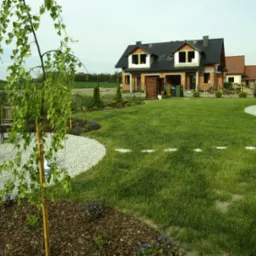 Nowoczesny ogród z młodą płaczącą brzozą na pierwszym planie, biała strefa żwirowa i ścieżka z płyt w trawniku prowadzą do niedokończonego domu w tle.