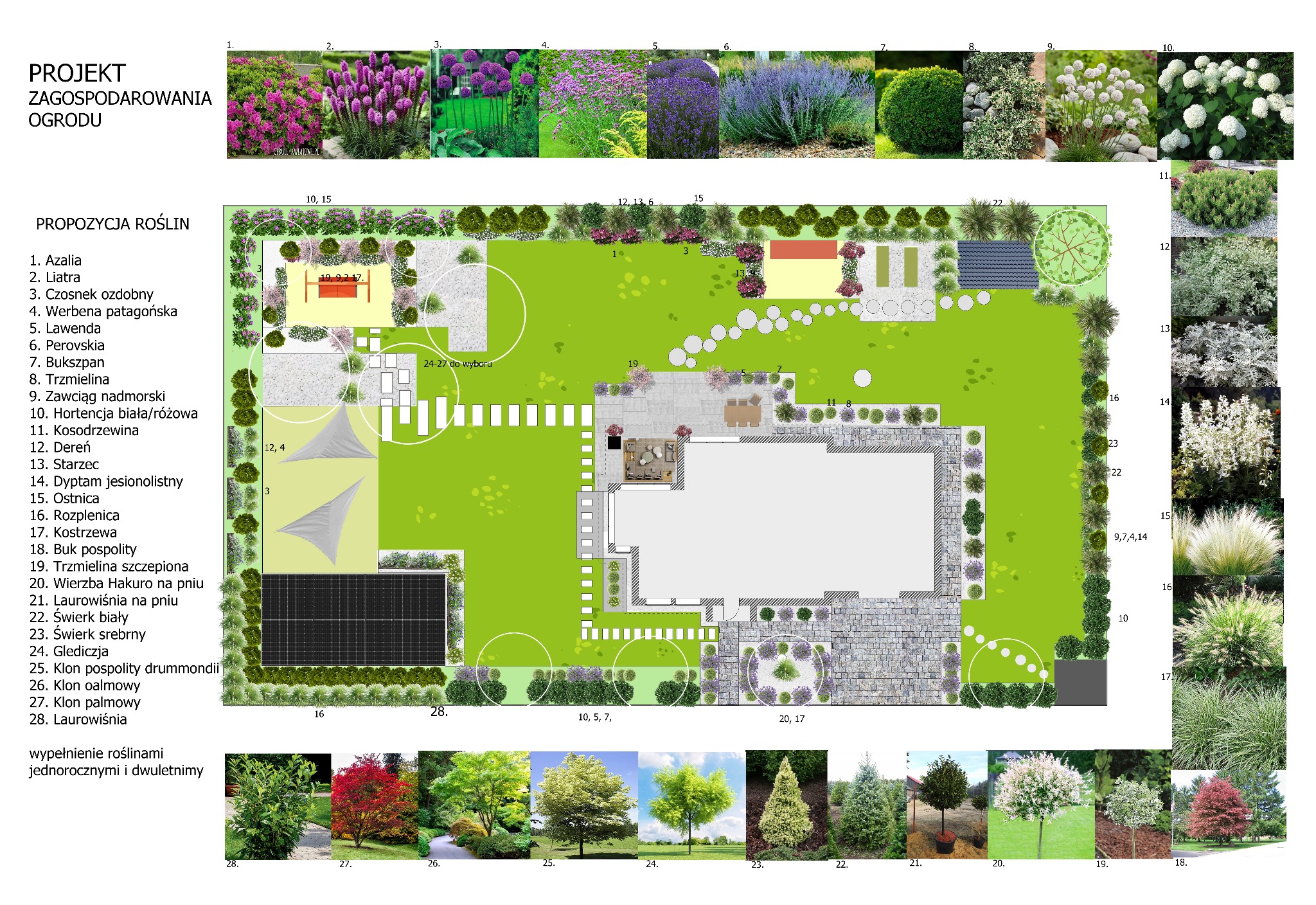 Plan zagospodarowania ogrodu z propozycjami roślin: azalia, liatra, czosnek ozdobny, werbena patagońska, lawenda, perowskia, bukszpan, trzmielina, zawciąg nadmorski, hortensja biała/różowa...