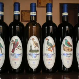 Sześć butelek wina Dolcea Vita różnych szczepów (Merlot, Cabernet Sauvignon, Blanc de Blanc, Gamza, Pamid, Chardonnay) z etykietami przedstawiającymi stylizowane ptaki na białym tle.