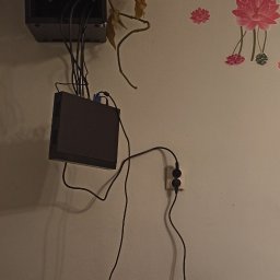 ACDC ALFA Beniamin Korniszuk - Monitoringi