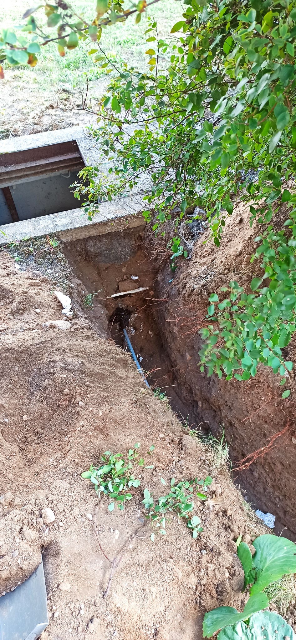 Wykop w ziemi z widoczną niebieską rurą, wystającymi korzeniami drzew i betonową konstrukcją studzienki kanalizacyjnej w tle, otoczony zielenią.