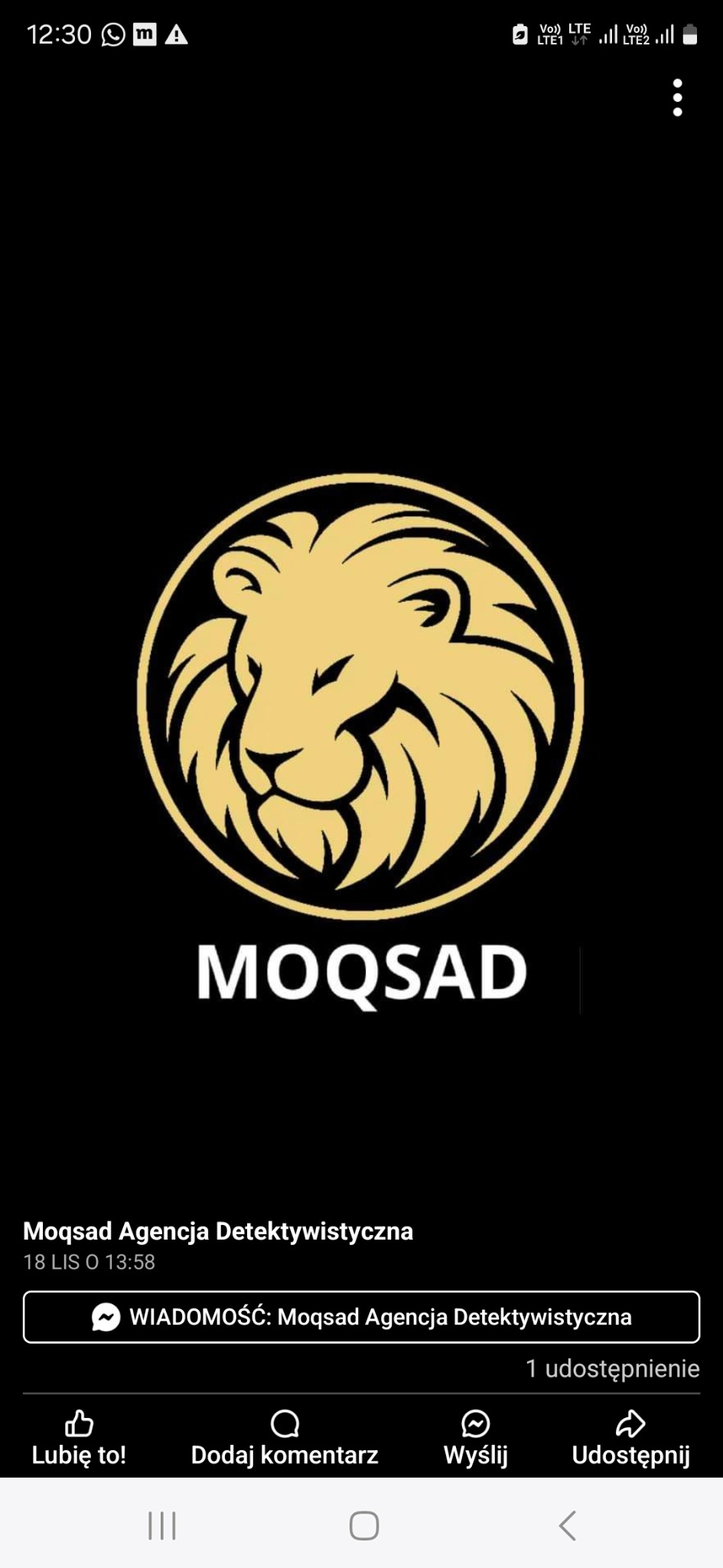 Logo agencji detektywistycznej Moqsad z wizerunkiem złotego lwa na czarnym tle.