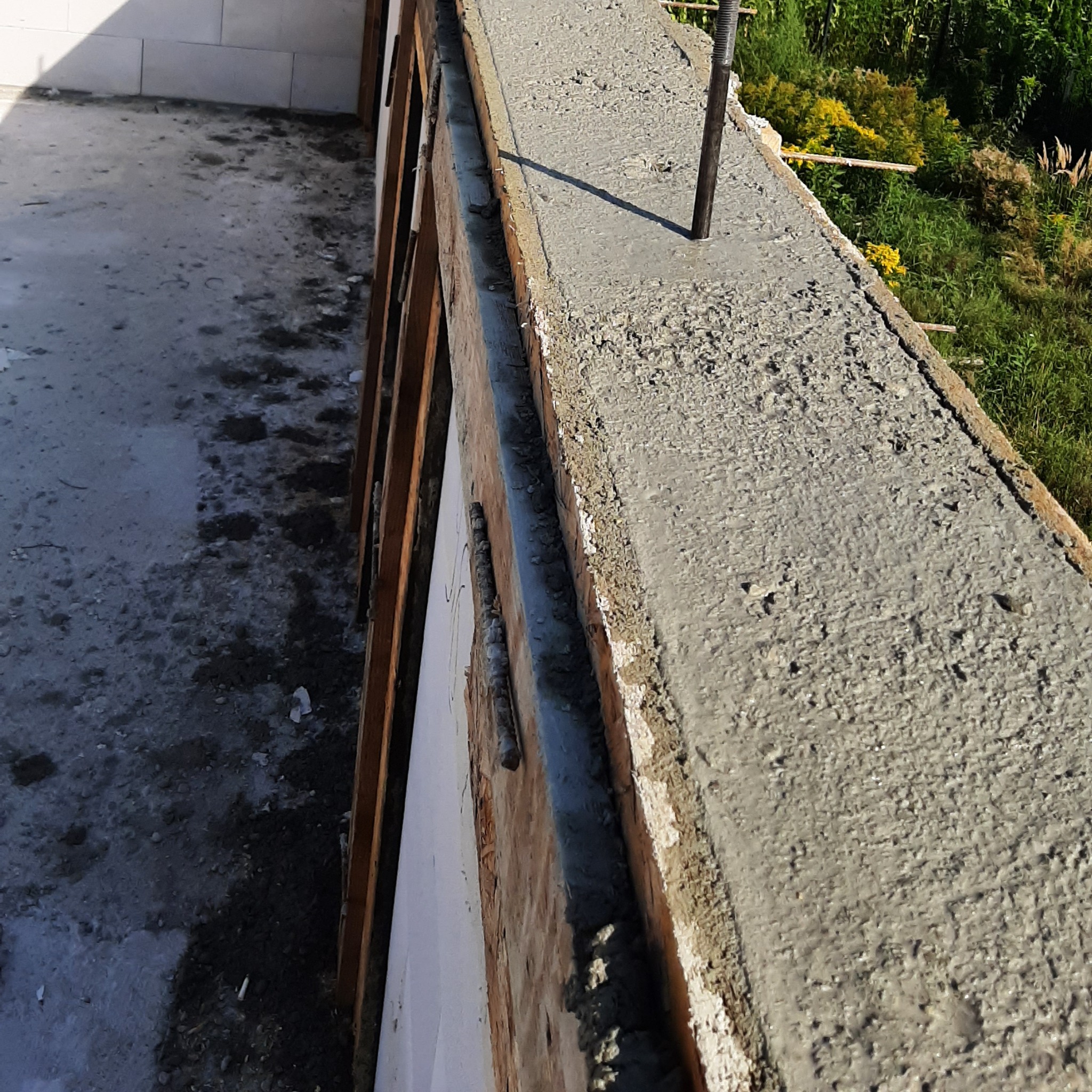 Świeżo wylany beton na szalunku, wystający pręt zbrojeniowy. Widoczne drewniane elementy konstrukcji. Tło z zielenią. Betonowa konstrukcja w trakcie budowy.