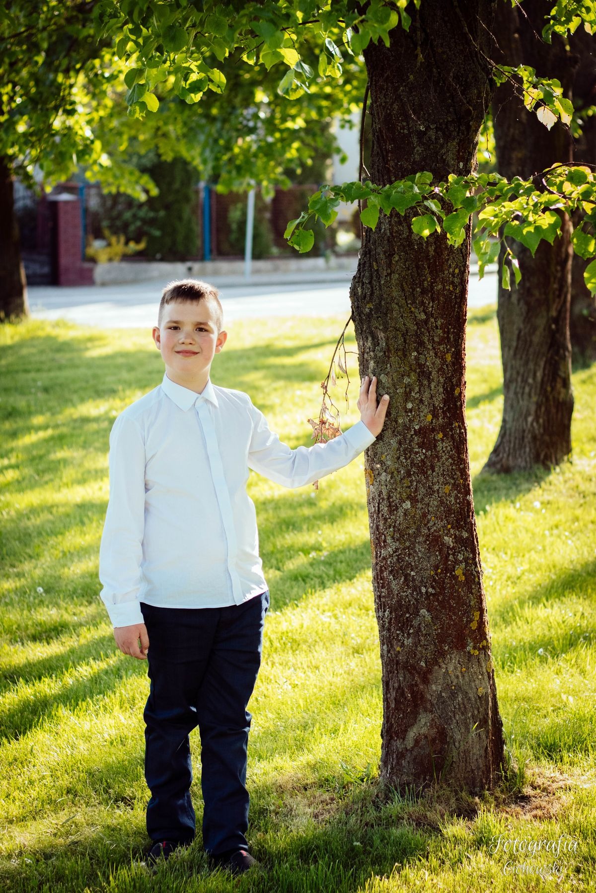 Portret chłopca w białej koszuli i granatowych spodniach, opierającego się o drzewo w słoneczny dzień.