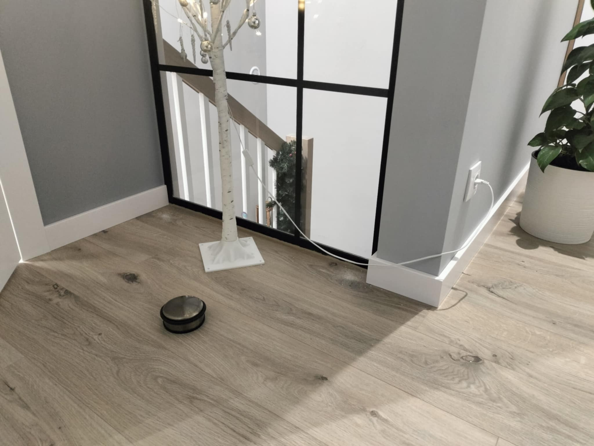 Jasna podłoga z paneli drewnopodobnych, widoczny ogranicznik do drzwi, dekoracyjne drzewko z oświetleniem, biała listwa przypodłogowa i roślina doniczkowa w tle, widok na schody przez przeszkloną...