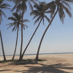 Jaroslaw jaworski - Glazurnik Ostrów Mazowiecka