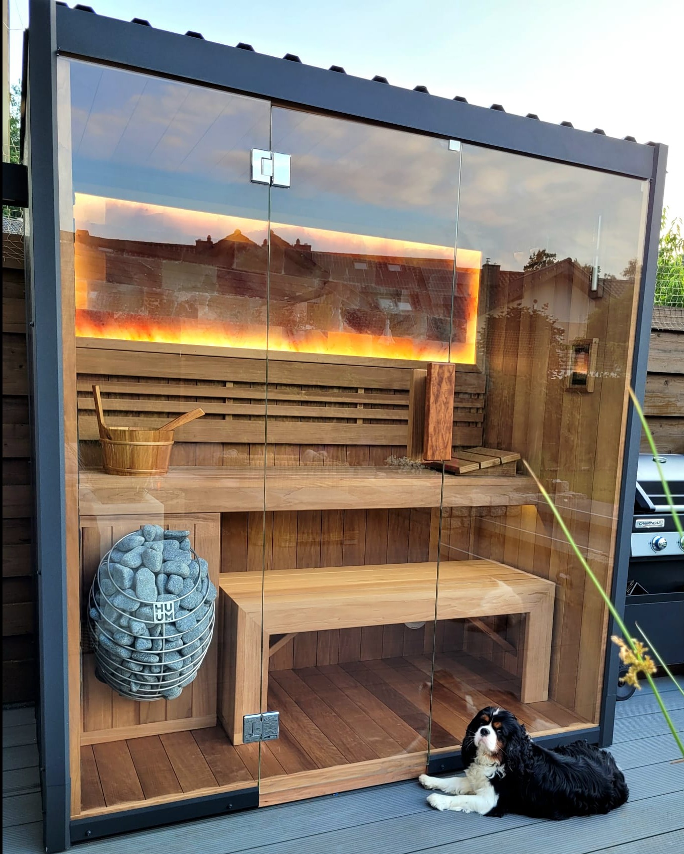 Nowoczesna sauna zewnętrzna z przeszklonymi ścianami i czarną ramą, oświetleniem LED, drewnianym wnętrzem, kamieniami do sauny i psem Cavalier King Charles Spaniel leżącym przed wejściem.