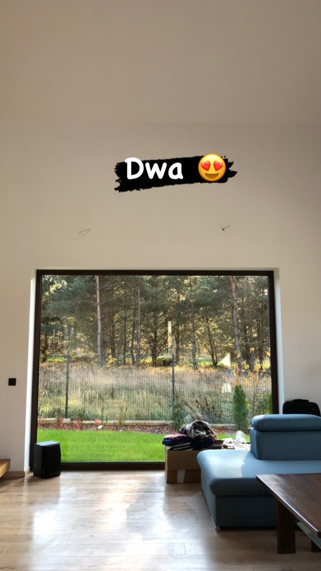 Wnętrze pokoju z dużym oknem tarasowym, widok na zewnątrz na ogród z drzewami, na podłodze panele, w pokoju sofa i karton z ubraniami przed oknem.