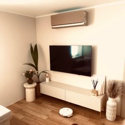 Zimna Strefa - Patryk Zaręba - Beżowy klimatyzator zamontowany nad telewizorem w nowoczesnym salonie z drewnianą podłogą, robotem sprzątającym i psem rasy pudel.