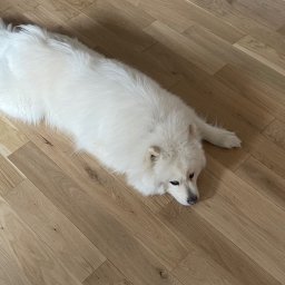 Cyklinowanie Warszawa 3