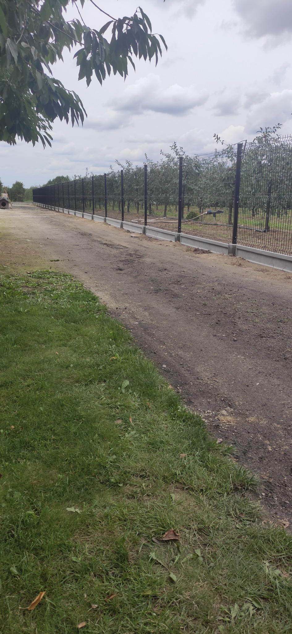 Długa, czarna siatka ogrodzeniowa z betonową podmurówką oddzielająca polną drogę od sadu drzew owocowych w pochmurny dzień.