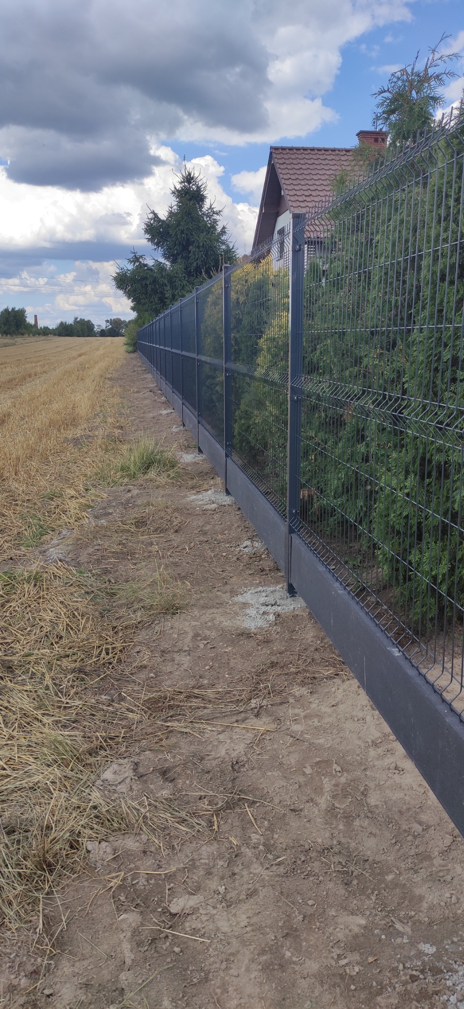 Długi, ciemnoszary płot z paneli ogrodzeniowych z podmurówką, oddzielający pole ze ściętą trawą od posesji z tujami i domem w tle.