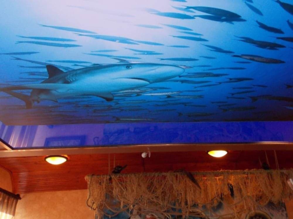 Sufit napinany z motywem podwodnego świata: rekin i ławica ryb, widoczne oświetlenie sufitowe i dekoracje w stylu morskim.
